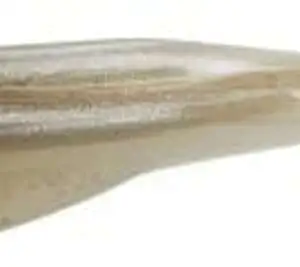 Zoom 023106 Super Fluke , 5 1/4"