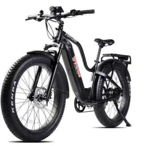 E-Explorer Off-Road E-Bike (Size S, Black)