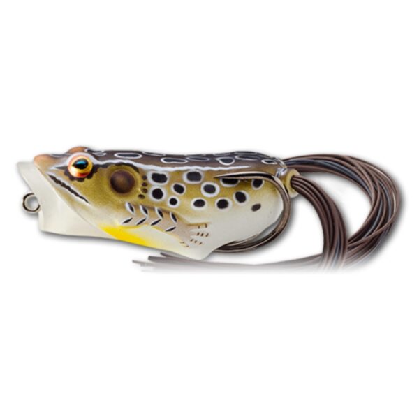 Live Target FHP55T502 Hollow Body Frog Popper 2" Topwater Lure