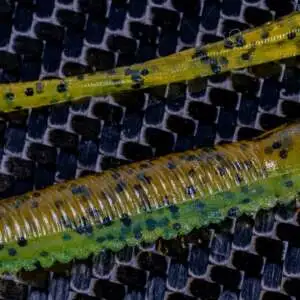 Flirt 6.95 Green Pumpkin/Blue