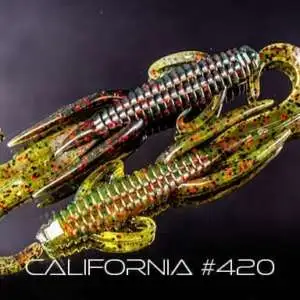 Man Bear Pig California 420