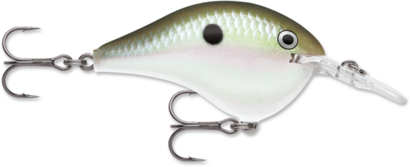 Dives-To 06 Green Gizzard Shad