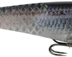 BerkleyPowerBait CullShad/Box/HD Ghost Gizzard