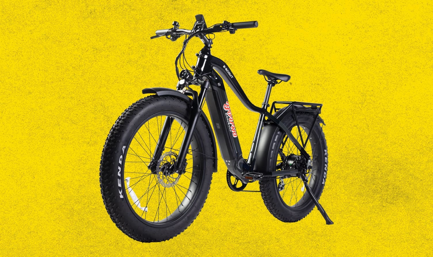 Electric mountain bike with powerful motor