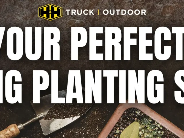 How to set up a garden shed for spring planting